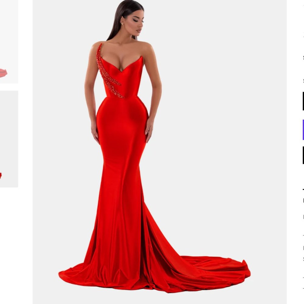 Albina Dyla Long Red Dress